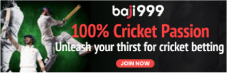 baji-cricket